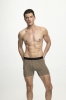 BOXER CABALLERO PRAGA